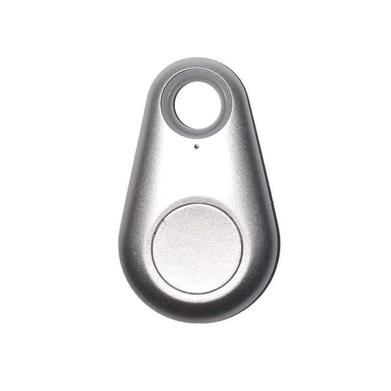 TrackGuard Mini