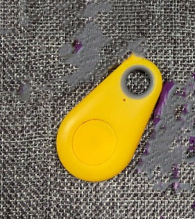 TrackGuard Mini