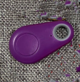 TrackGuard Mini