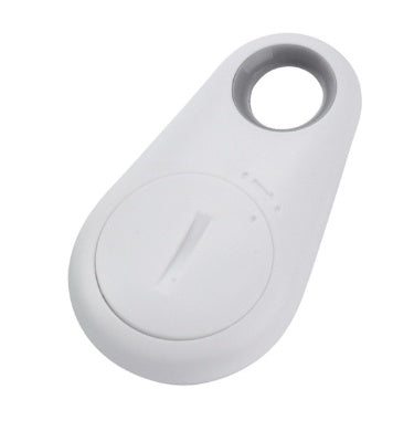 TrackGuard Mini