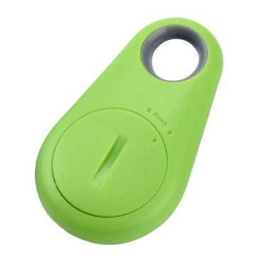TrackGuard Mini