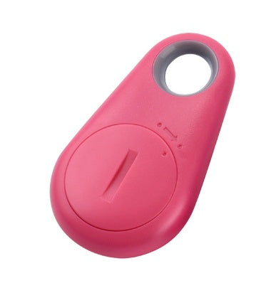 TrackGuard Mini